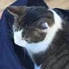 martha._.schwarz