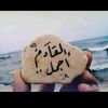 dy4lnq817mv1