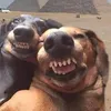 alguienjajajajajaque