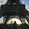 palo_tl