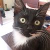 kool.katz1
