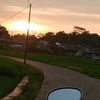 pribumi_neaia