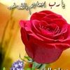 nashwahassan970gmail.co