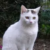 dyxm8abxcyfi