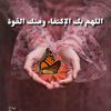 www.falesten.com