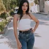 karinabreves267