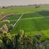 mofathi40