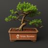 nissibonsai