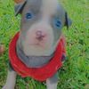 user3261531679891cris