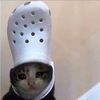 wheres981
