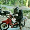 wahyumichael1lite