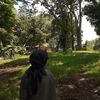 nidaanhp