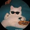 cilbocil_x