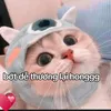 thien1dia2