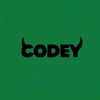 codyer23