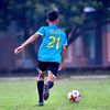 alfiant_13