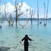 idaysilahku