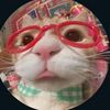 _shabina4