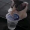 ara_soasoen