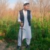 suliman.291