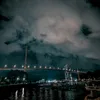 onion_8386