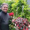 anna020659