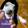 sacy_8