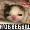 dachenetak_