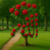 shernawaz797