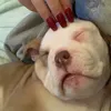 skyesprivvy
