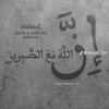 alimohamed16271