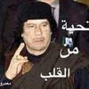 ayob1amr