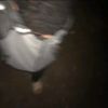 egypt_it1