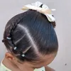 penteados_isa