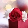 mohamed_.mahmod