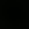 luidemier_