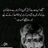 shaziashabir907
