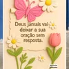 soniaazevedo892