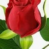user5614904213600