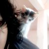 pigero_0