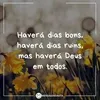 marifreire500
