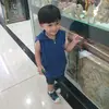 elzeinsaputra