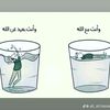 user5600132515660