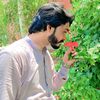 saklian_khan