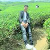 younggwii_fa12