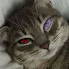 xxx.__spy__.xxx