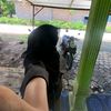 sya_kla1