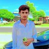 malik55371
