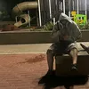 alejandromilan855