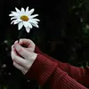 fywire.19